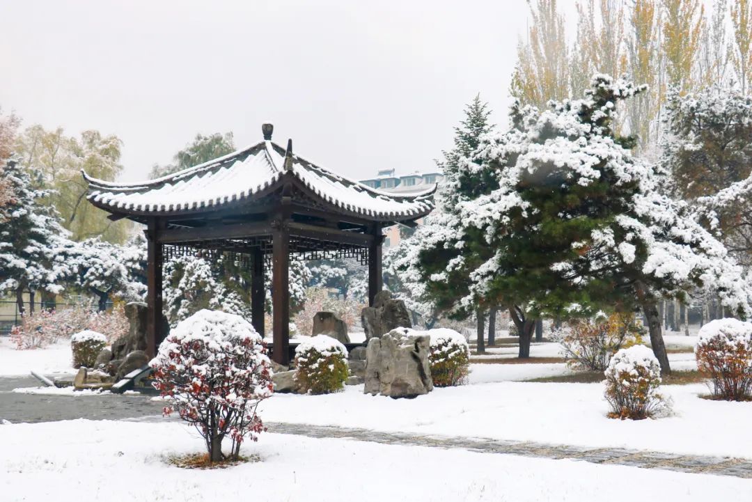 吉林大学招生协会